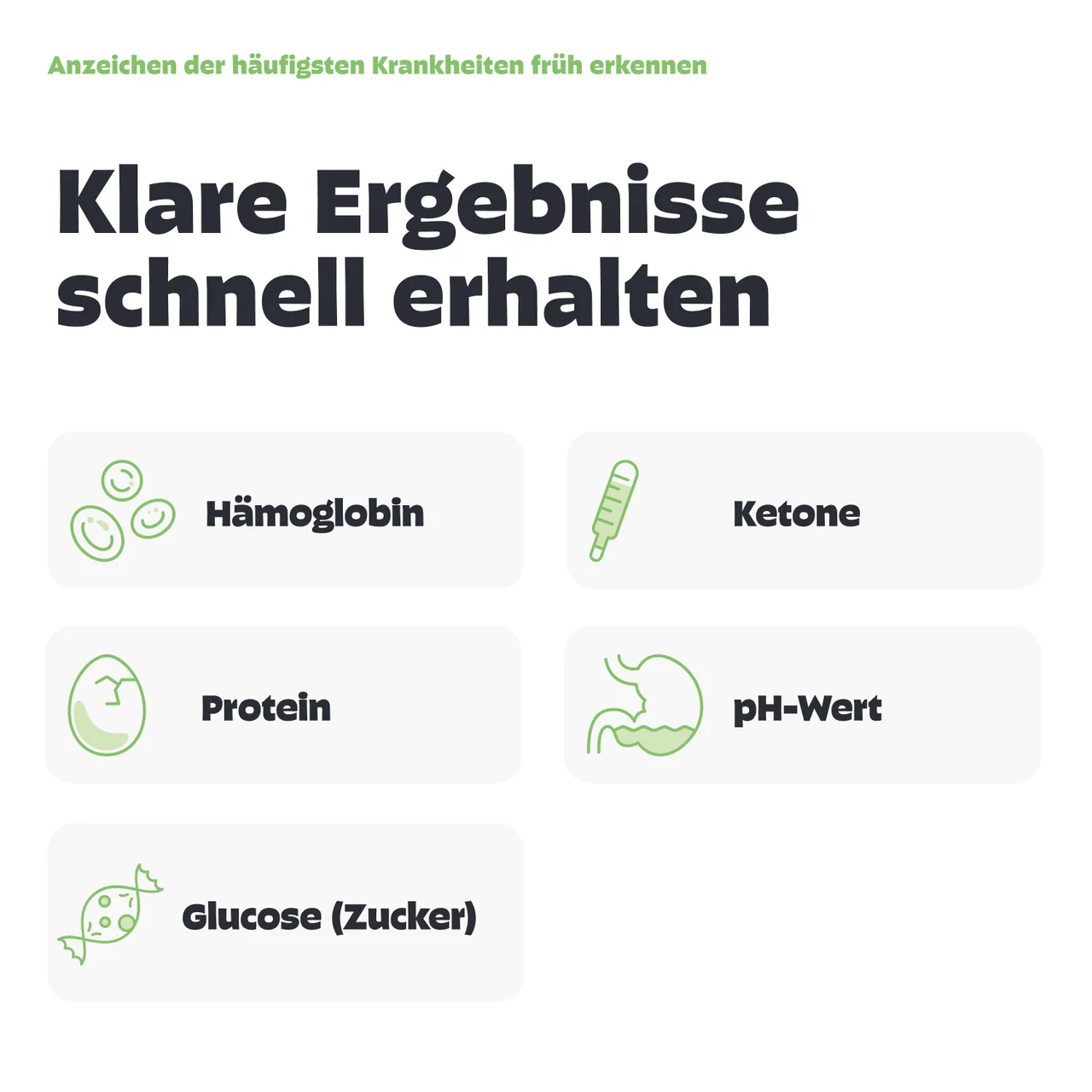 Urintest Kit für Katzen