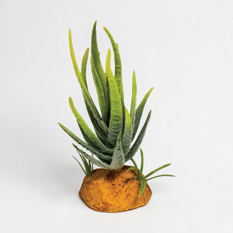 Repto Plant Aloe green 