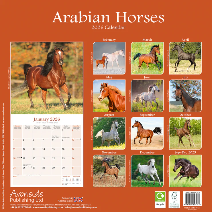 Calendar 2025 Arabian Horses