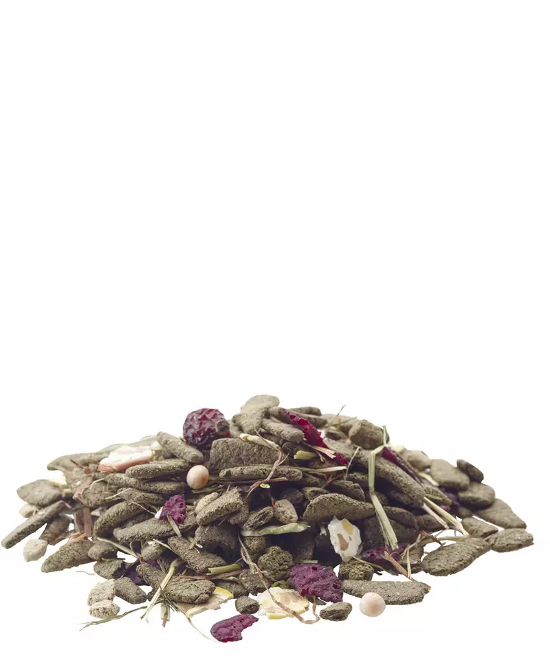 versela-laga-meerschweinchenfutter-futtermischung Nourriture pour cochons d'Inde de Versele-Laga