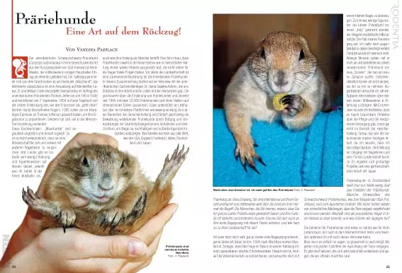 rodentia-74-3 Rodentia 74 - Kleinsäuger in Zoos