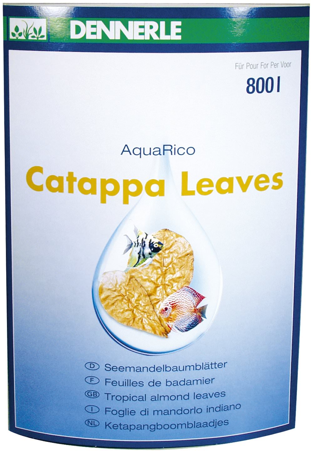 Catappa Leaves 8 Pieces