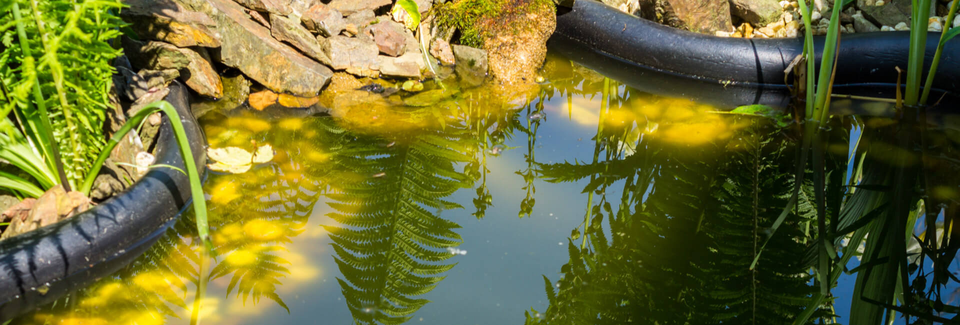 Gartenteich Wasserpflege / Algenmittel