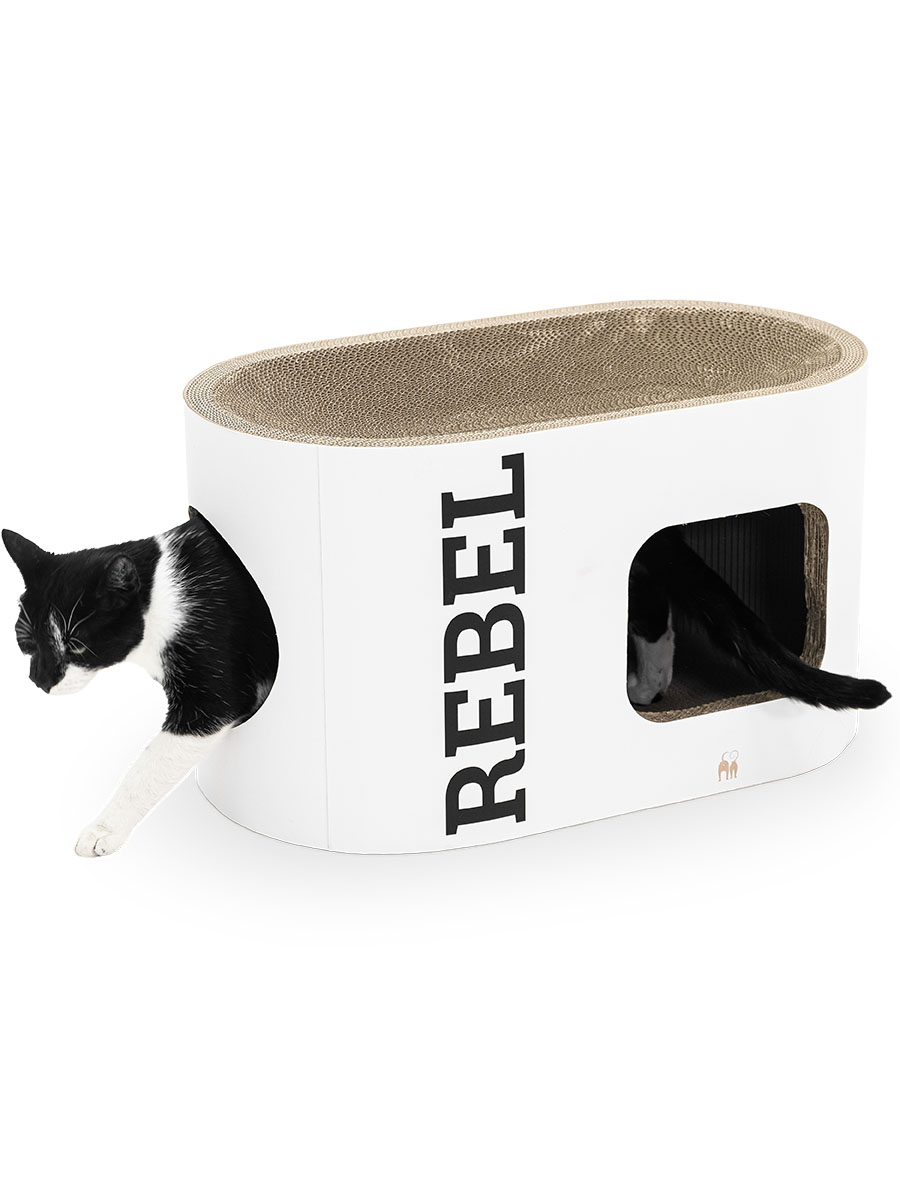 Un gatto bianco e nero esce da una moderna cuccia bianca con un tappetino tiragraffi ovale sulla parte superiore. La parola "REBEL" è scritta verticalmente sul lato. Si protende fuori da un'entrata, mentre una coda spunta da un foro.
