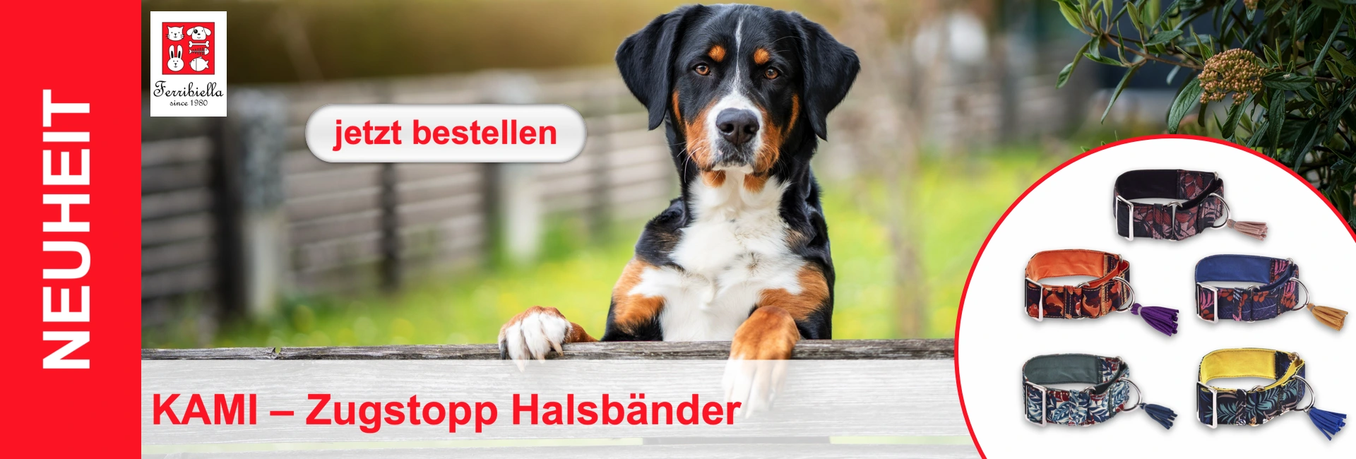 An Entlebucher mountain dog leaning on a bench; on the right, collars with floral patterns and tassels.