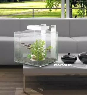 Nano Cube - Nexus Pure 14 Liter