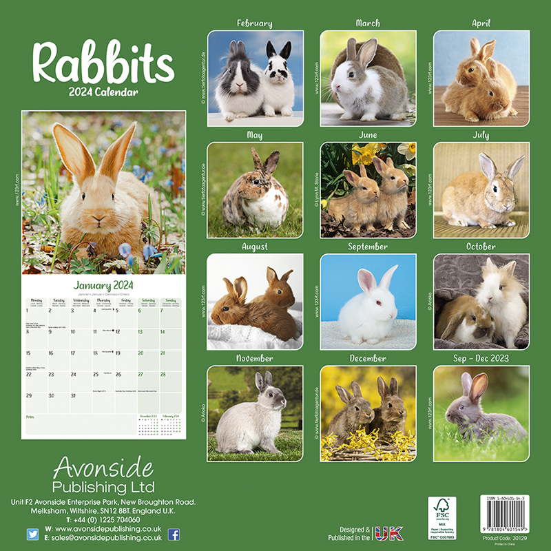 Calendar 2024 Rabbit - Rabbits