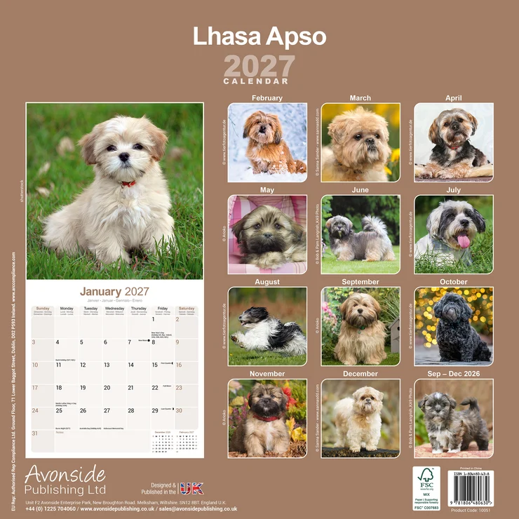 Calendrier 2026 Lhasa Apso
