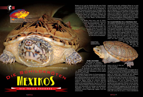 Reptilia 91 - Mexikanische Schildkröten
