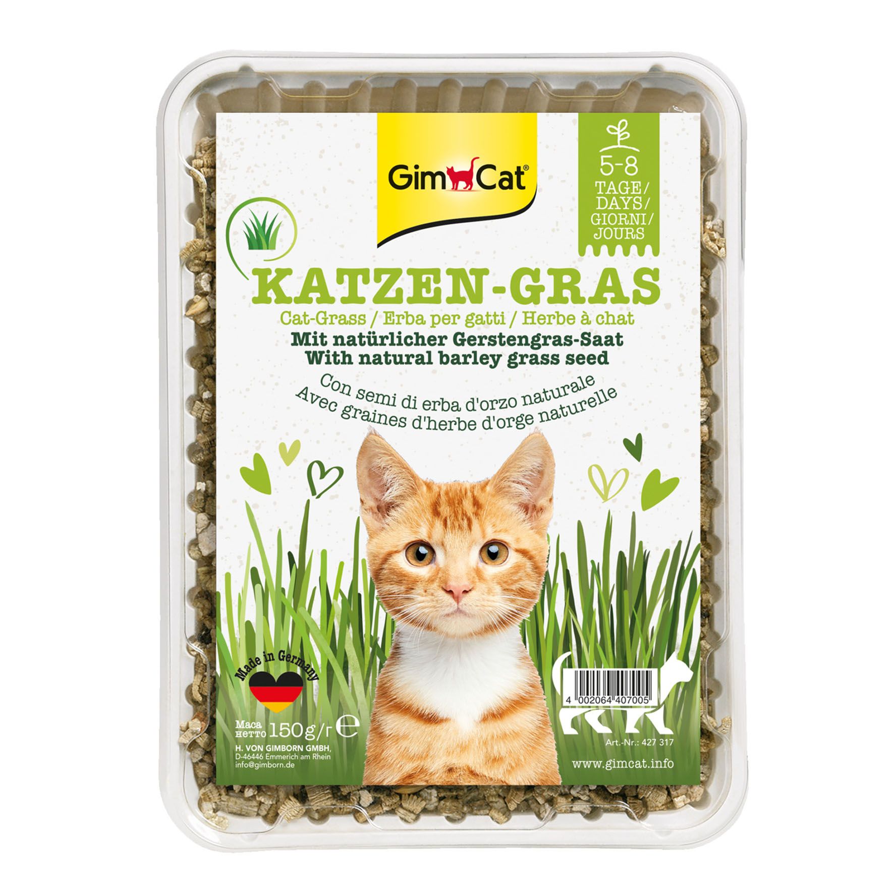 Pot transparent contenant des graines d'herbe à chat « GimCat » ; l'étiquette représente un chat tigré orange et blanc qui jette un œil à travers l'herbe verte fraîche, entouré de cœurs verts. Logo « GimCat » en haut. Graines d'orge naturelles.