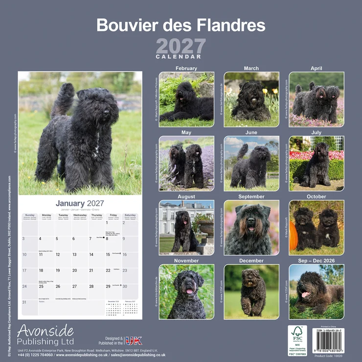 Kalender 2027 Bouvier des Flandres
