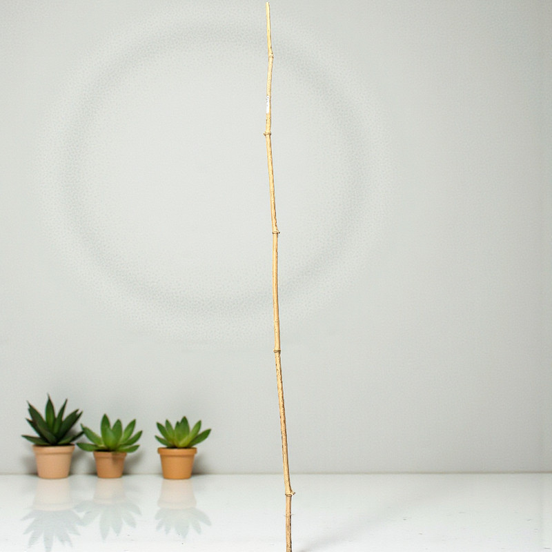Bamboo pole mini 1 meter