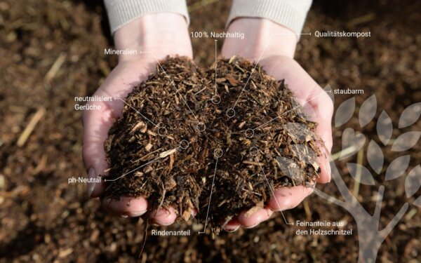 Organic forest floor