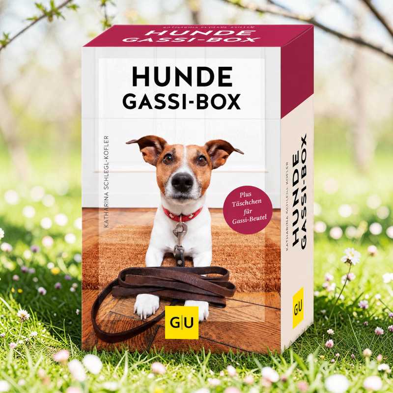 Dog Walk Box on grass with small white flowers. Front shows a Jack Russell Terrier wearing a red collar by a front door on a brown doormat, with a dog lead at its paws. Note: Includes a small pouch for dog waste bags.