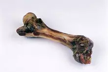 Ham bone 20 cm