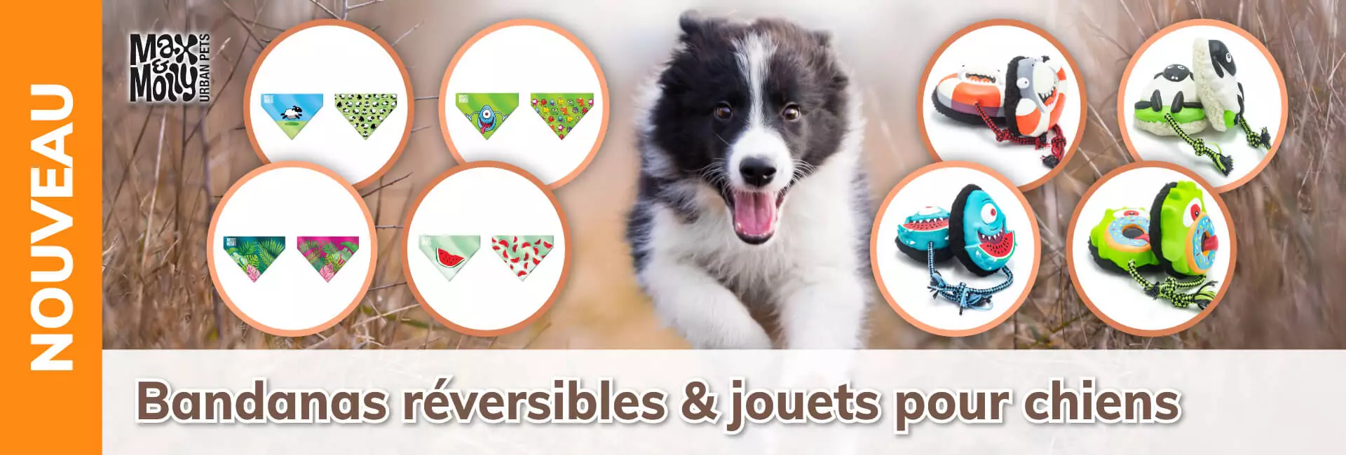 Max & Molly Bandanas réversibles et jouets pour chiens