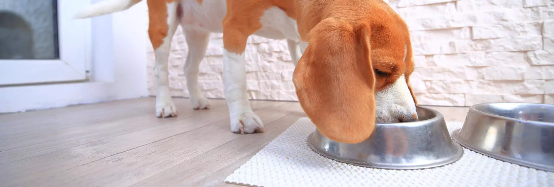 Hunde Napfunterlage Hunde Napfunterlage