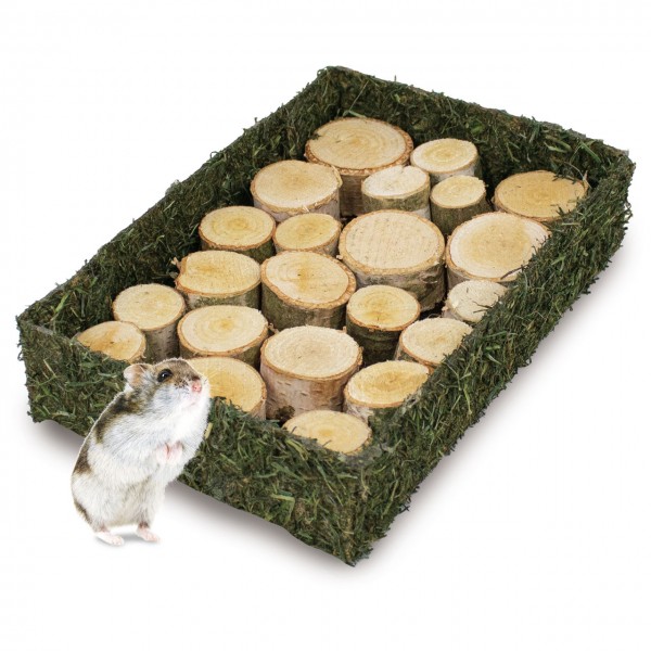 Schnüffel Foresta