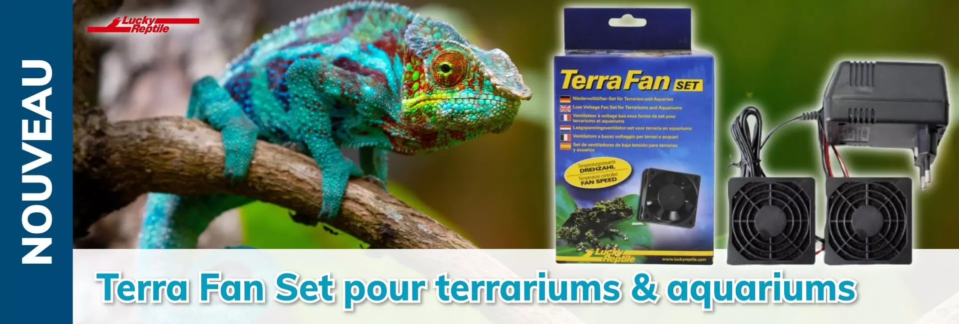 Lucky Reptile Terra Fan Set