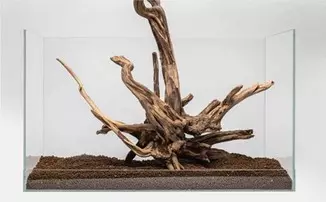 Black Slim Wood - Holzwurzel