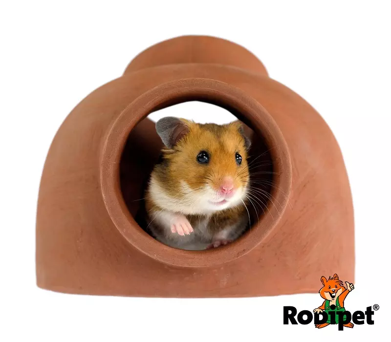 Rodipet Easyclean Keramikbau