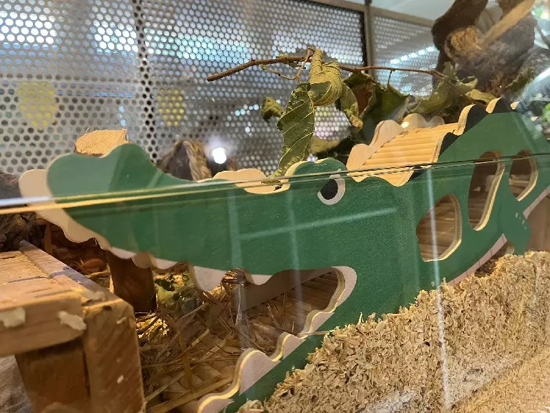 Holz Spielhaus Nagetier Krokodil
