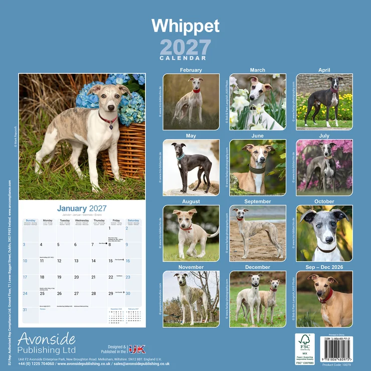 Calendario 2026 Whippet