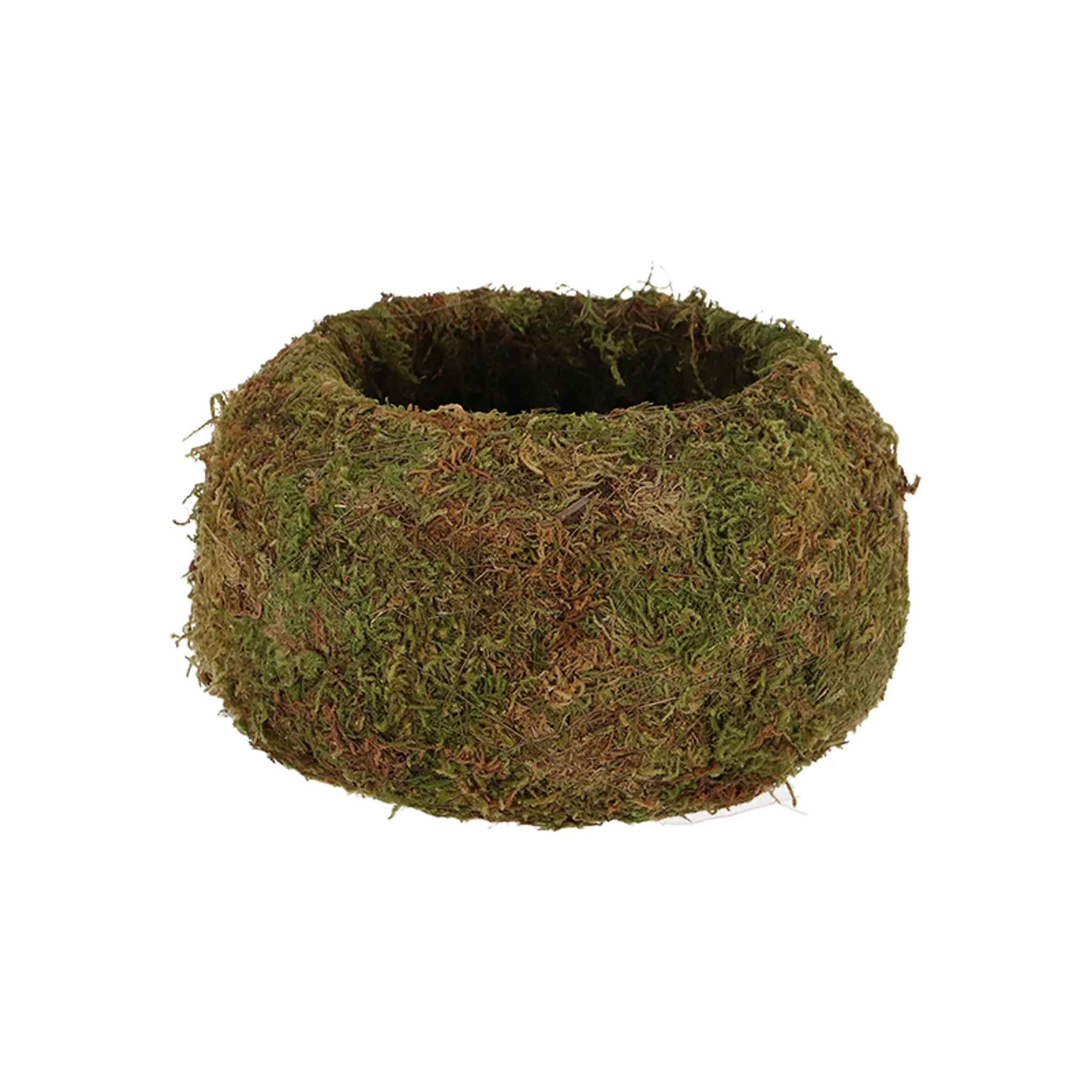 Moostopf Kokedama Moostopf Kokedama