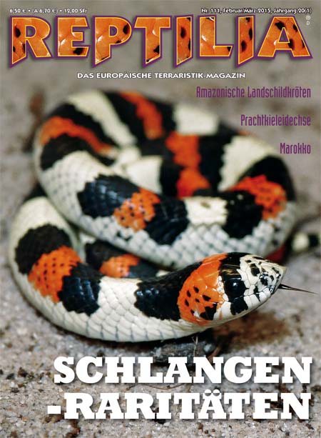 Reptilia 111 - Schlangen-Raritäten