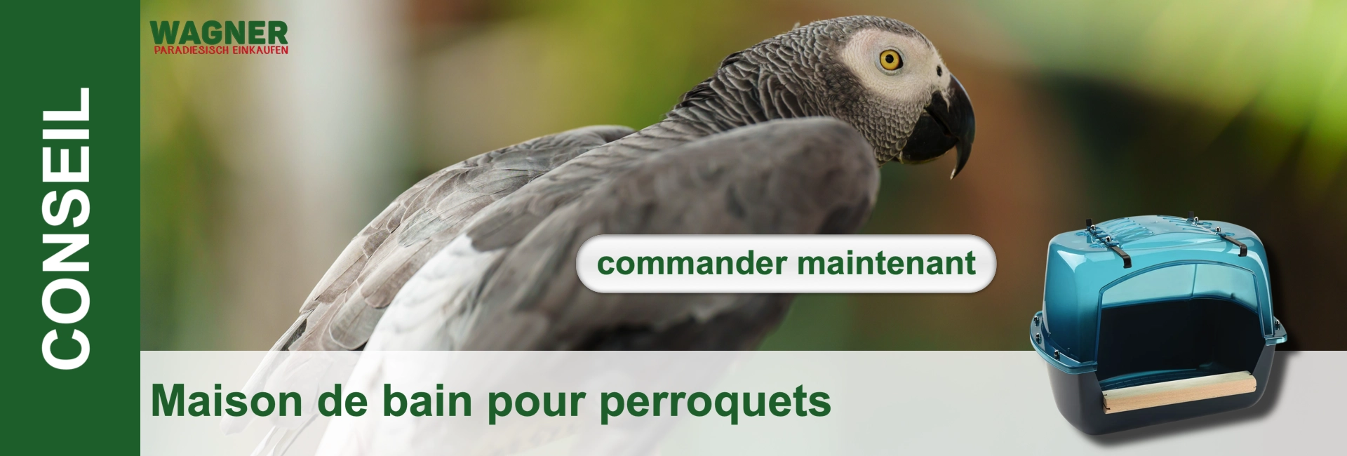 Perroquet gris avec un œil jaune, à côté d'une boîte de bain bleue pour oiseaux. Texte : Maison de bain pour perroquets et commander maintenant.