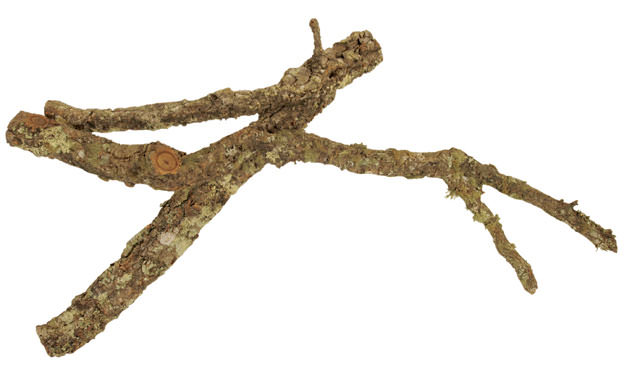 Tronchos Mélange de branches de liège 90cm