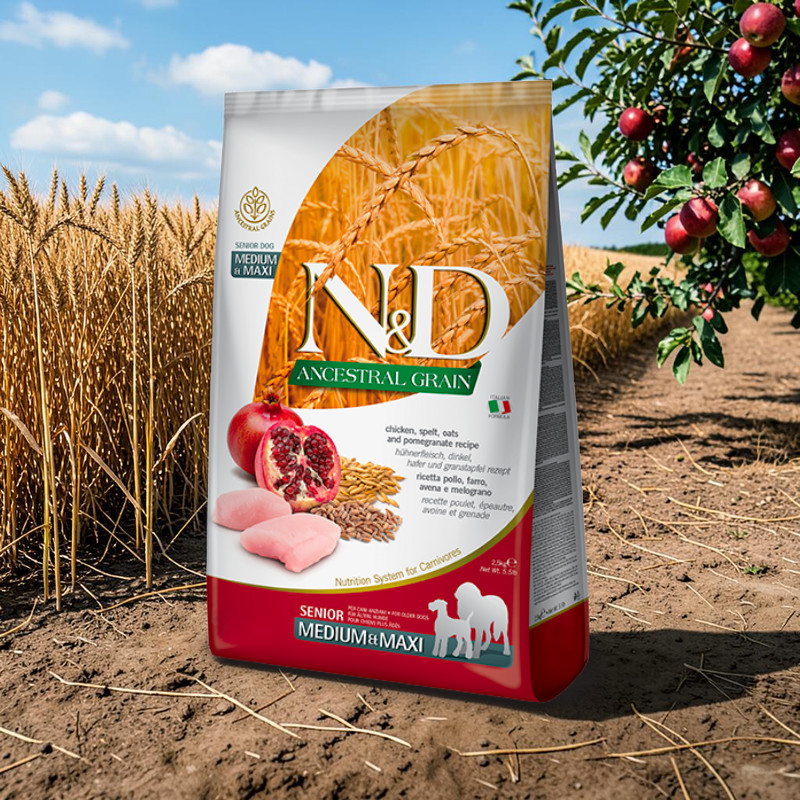 Farmina N&D Ancestral Grain Senior Medium & Maxi mit Huhn, Dinkel, Hafer & Granatapfel