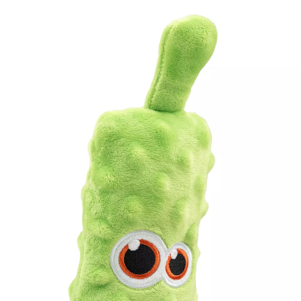 Peluche verde brillante con superficie irregolare e rigonfia. Due occhi ricamati di dimensioni diverse, con bordi arancioni e pupille nere, guardano in avanti. Nella parte superiore spunta un gambo ricurvo di colore verde chiaro. Sfondo bianco candido.