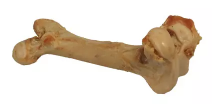 GigantOs