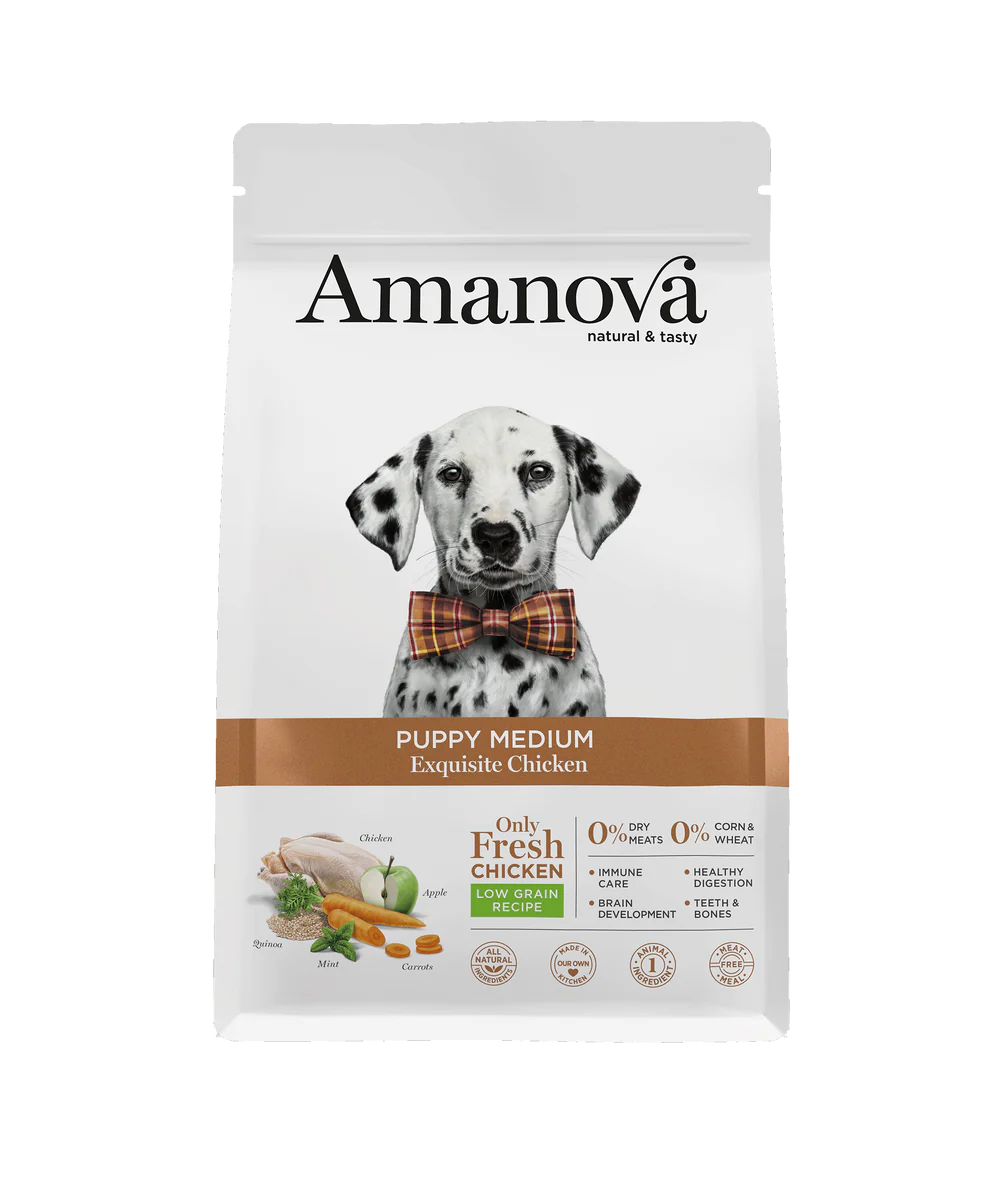 amanova-dogpuppymediumchicken-1 amanova-dogpuppymediumchicken-1