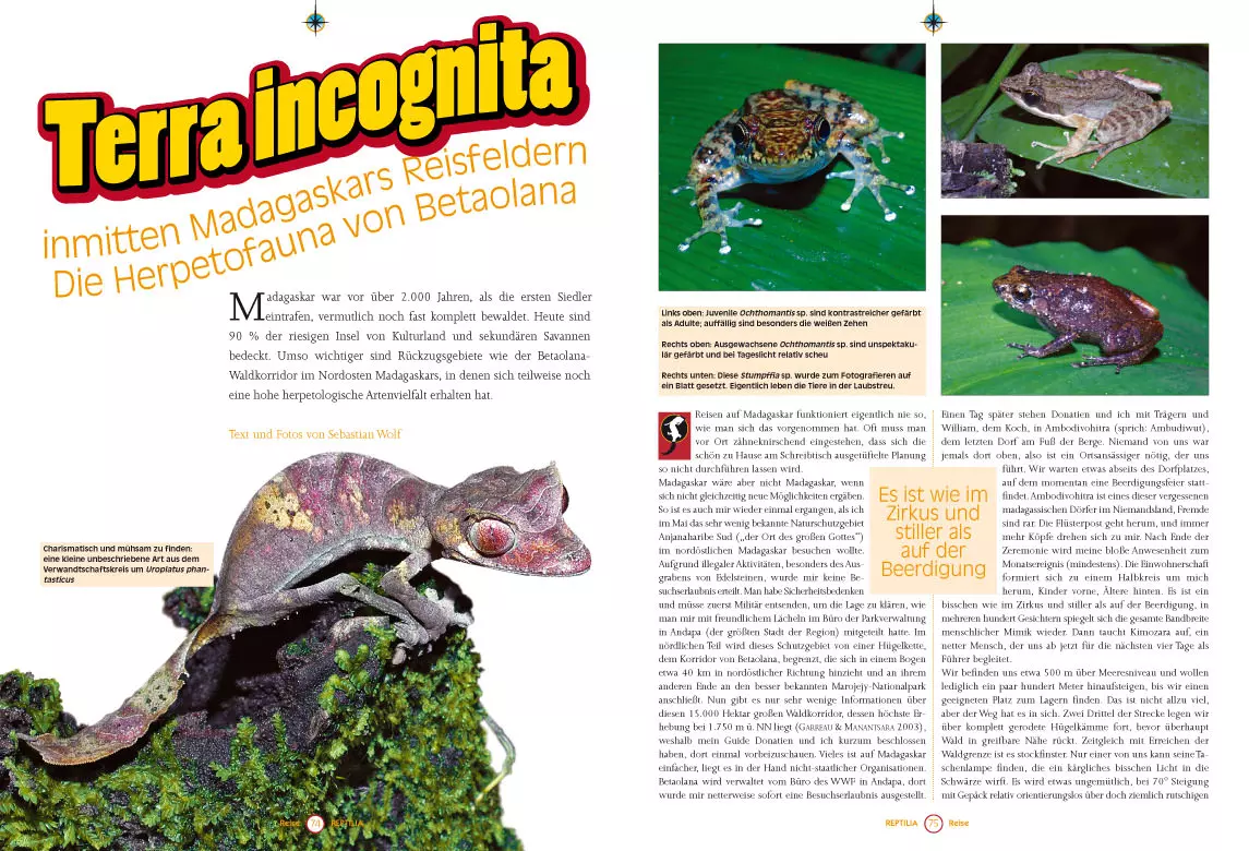 reptilia-107-1 Reptilia 107 - Krötenechsen