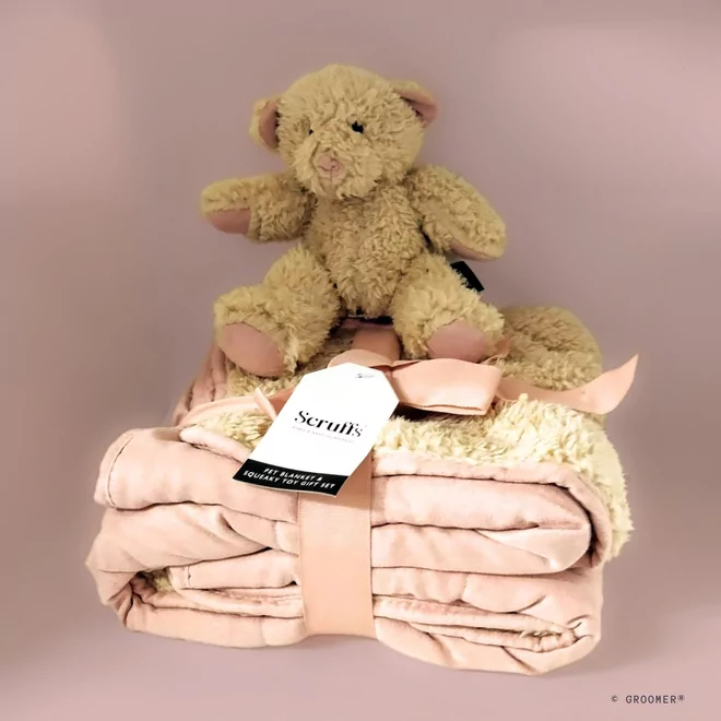 Scruffs Cosy Blanket & Bear Toy-Set