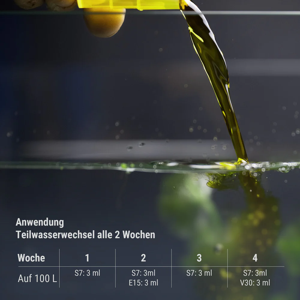 Dennerle Plant System Set