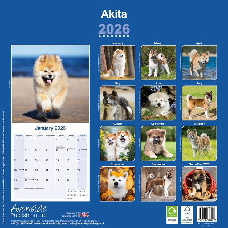 Calendar 2025 Akita
