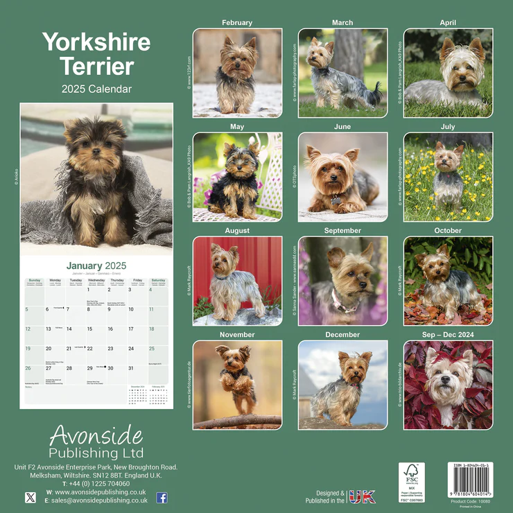 Kalender 2025 Yorkshire Terrier Kalender 2025 Yorkshire Terrier