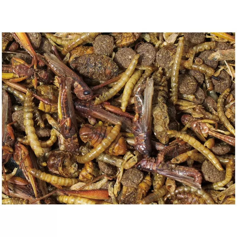 Igel Snack 100g Igel Snack 100g