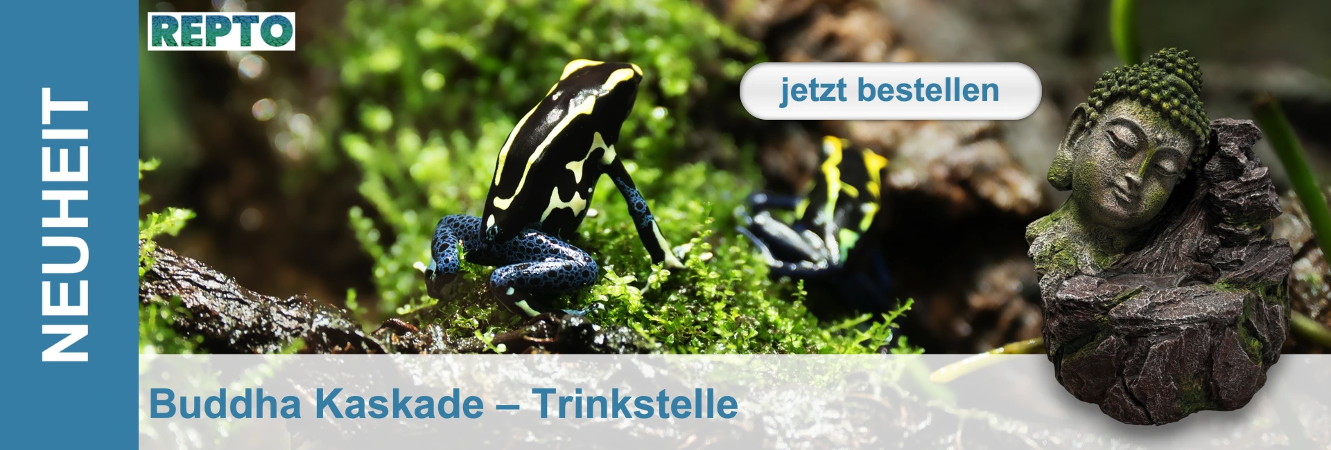 Schwarz-gelber Pfeilgiftfrosch mit blauen Beinen auf grünem Moos. Rechts eine moosbewachsene Buddha-Statue als Kaskaden-Trinkstelle. Im Bild sind die Schriftzüge "REPTO", "NEUHEIT" und "Buddha Kaskade – Trinkstelle" sowie ein Bestell-Button zu sehen.