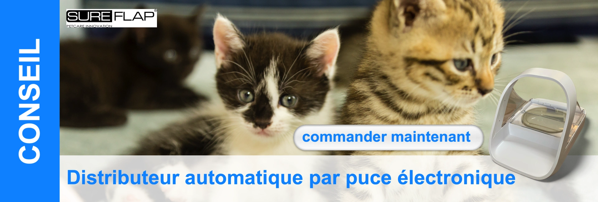 Trois chatons de différentes couleurs de pelage devant un distributeur automatique de nourriture commandé par une puce, texte en français.