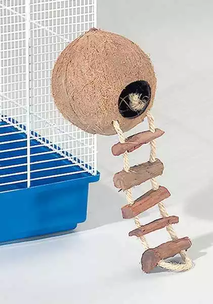 Kokosnuss Kugelhaus mit Seil