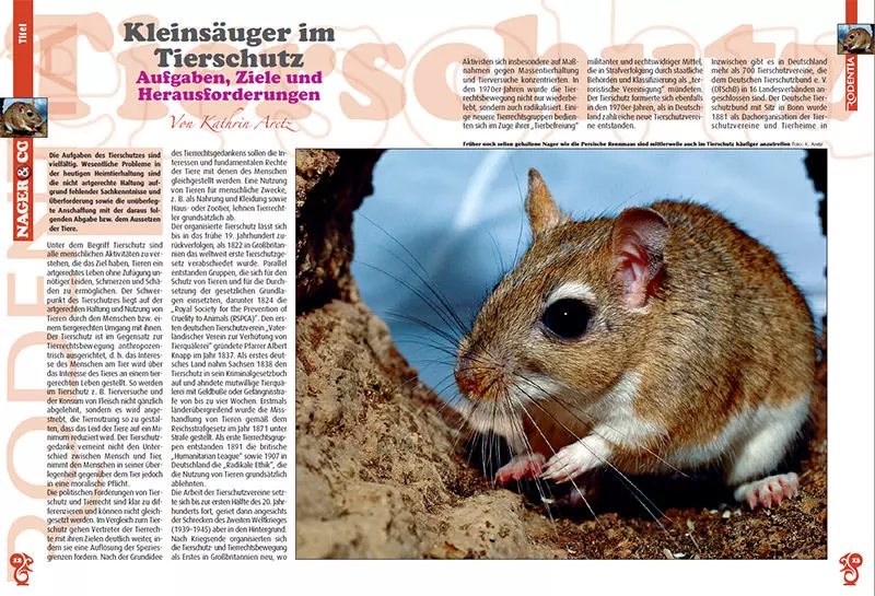 9f4c72b4b1deccb06cd82b35679b925a Rodentia 69 - Petits mammifères dans la protection des animaux