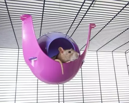 Sputnik lila / pink