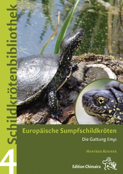 Turtle Library 4 - European Pond Turtle