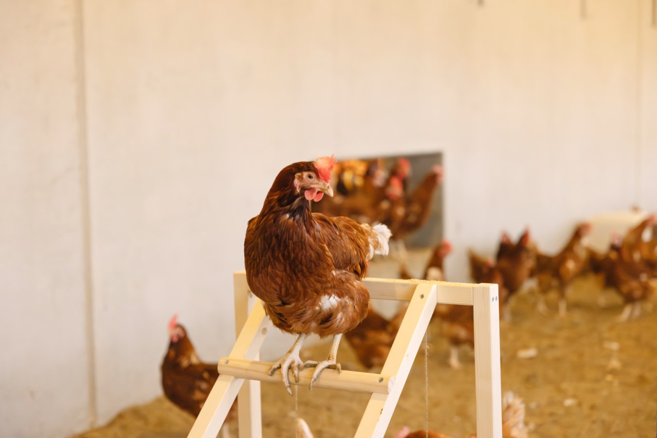 Climbing tower with swing