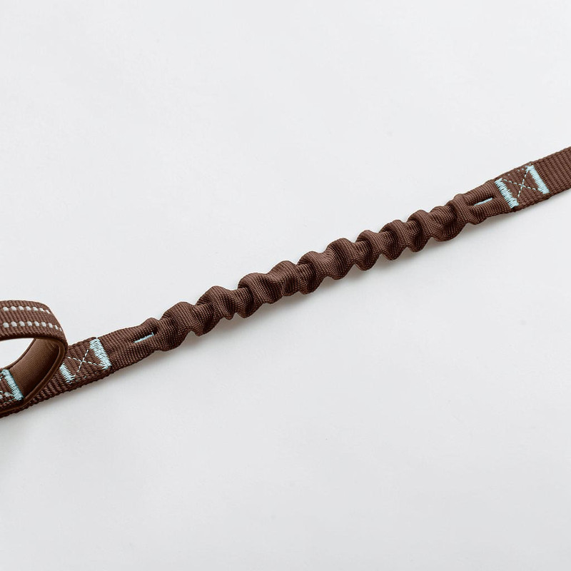 Braune Hundeleine mit sichtbarem, gewelltem Ruckdämpferbereich. Robustes Gurtband mit hellblauen Ziernähten und kleinen reflektierenden weißen Punkten, die Funktionalität und Sicherheit dieser Action-Leine betonen. Materialtextur klar erkennbar.