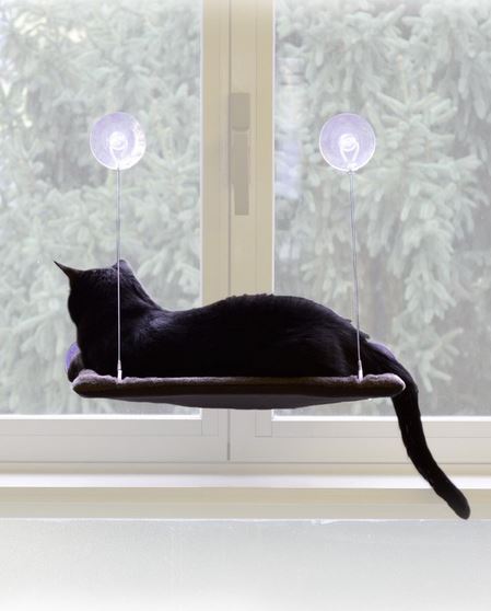 Cat Window bed